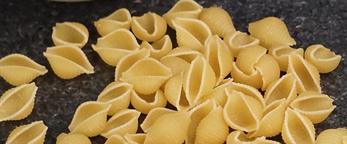 Conchiglie - Small | Share the Pasta